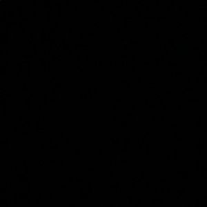 Meet your Posher, Evan